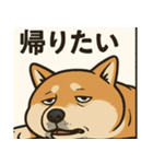 人生辛い犬（個別スタンプ：11）