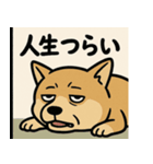 人生辛い犬（個別スタンプ：12）