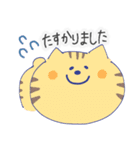 くまとねこのお仕事で使える言葉（個別スタンプ：13）