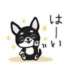 ブラックタン・チワワ（個別スタンプ：2）