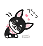 ブラックタン・チワワ（個別スタンプ：4）