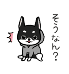 ブラックタン・チワワ（個別スタンプ：6）