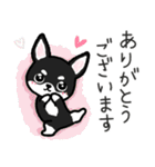 ブラックタン・チワワ（個別スタンプ：10）