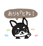 ブラックタン・チワワ（個別スタンプ：12）