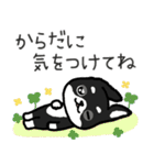 ブラックタン・チワワ（個別スタンプ：15）