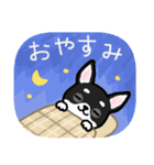 ブラックタン・チワワ（個別スタンプ：16）