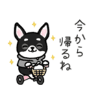 ブラックタン・チワワ（個別スタンプ：18）