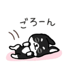 ブラックタン・チワワ（個別スタンプ：20）