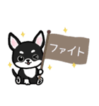 ブラックタン・チワワ（個別スタンプ：25）