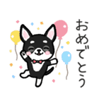 ブラックタン・チワワ（個別スタンプ：27）
