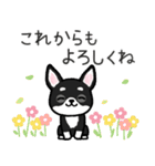 ブラックタン・チワワ（個別スタンプ：28）