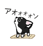 ブラックタン・チワワ（個別スタンプ：32）