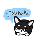 ブラックタン・チワワ（個別スタンプ：39）