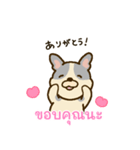 「わたしはフレンチブルドッグ」(タイ語)（個別スタンプ：3）