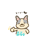 「わたしはフレンチブルドッグ」(タイ語)（個別スタンプ：4）