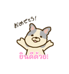 「わたしはフレンチブルドッグ」(タイ語)（個別スタンプ：8）