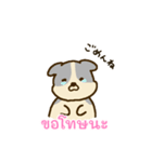 「わたしはフレンチブルドッグ」(タイ語)（個別スタンプ：9）