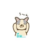 「わたしはフレンチブルドッグ」(タイ語)（個別スタンプ：10）