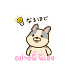 「わたしはフレンチブルドッグ」(タイ語)（個別スタンプ：13）