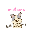 「わたしはフレンチブルドッグ」(タイ語)（個別スタンプ：16）