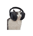 世界一かわいいねこマリちゃん（個別スタンプ：23）