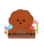 トイプードルの日常敬語スタンプ（個別スタンプ：1）