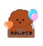 トイプードルの日常敬語スタンプ（個別スタンプ：16）
