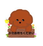 トイプードルの日常敬語スタンプ（個別スタンプ：20）