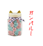 にゃんぺい糖、キラーンと一言（個別スタンプ：10）