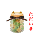 にゃんぺい糖、キラーンと一言（個別スタンプ：12）