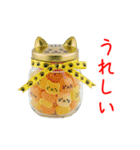 にゃんぺい糖、キラーンと一言（個別スタンプ：17）
