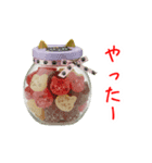 にゃんぺい糖、キラーンと一言（個別スタンプ：23）