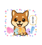 『柴犬』の可愛いスタンプ（個別スタンプ：4）