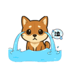 『柴犬』の可愛いスタンプ（個別スタンプ：5）