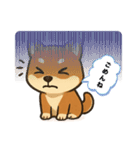 『柴犬』の可愛いスタンプ（個別スタンプ：6）