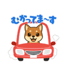 『柴犬』の可愛いスタンプ（個別スタンプ：7）