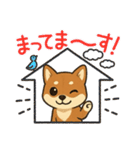 『柴犬』の可愛いスタンプ（個別スタンプ：8）