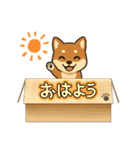 『柴犬』の可愛いスタンプ（個別スタンプ：10）