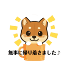 『柴犬』の可愛いスタンプ（個別スタンプ：11）