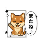 『柴犬』の可愛いスタンプ（個別スタンプ：20）