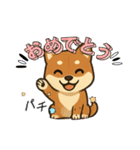 『柴犬』の可愛いスタンプ（個別スタンプ：29）