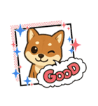 『柴犬』の可愛いスタンプ（個別スタンプ：31）