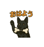 黒犬通信。気持ち代弁中。家族や仲間と（個別スタンプ：1）