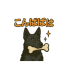 黒犬通信。気持ち代弁中。家族や仲間と（個別スタンプ：3）