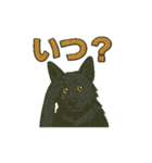黒犬通信。気持ち代弁中。家族や仲間と（個別スタンプ：8）