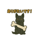 黒犬通信。気持ち代弁中。家族や仲間と（個別スタンプ：12）