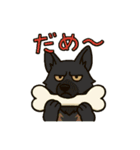 黒犬通信。気持ち代弁中。家族や仲間と（個別スタンプ：15）
