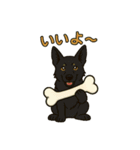黒犬通信。気持ち代弁中。家族や仲間と（個別スタンプ：16）