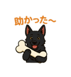 黒犬通信。気持ち代弁中。家族や仲間と（個別スタンプ：17）