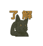 黒犬通信。気持ち代弁中。家族や仲間と（個別スタンプ：18）